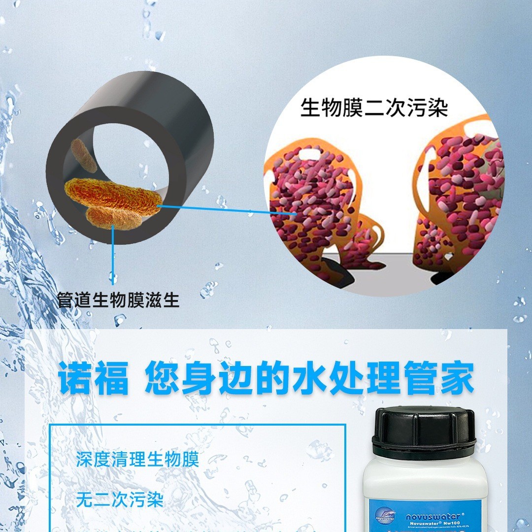 Purified Water Production Pharmaceutical Water Pseudomonas Aeruginosa Pollution Efficient Removal of Pipeline Biofilm Safe and Efficient