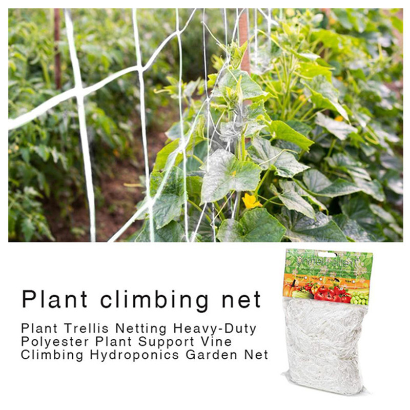 Cross-border plant Grid Net heavy polyester plant support vine climbing hydroponic garden Net multi-purpose climbing vine net