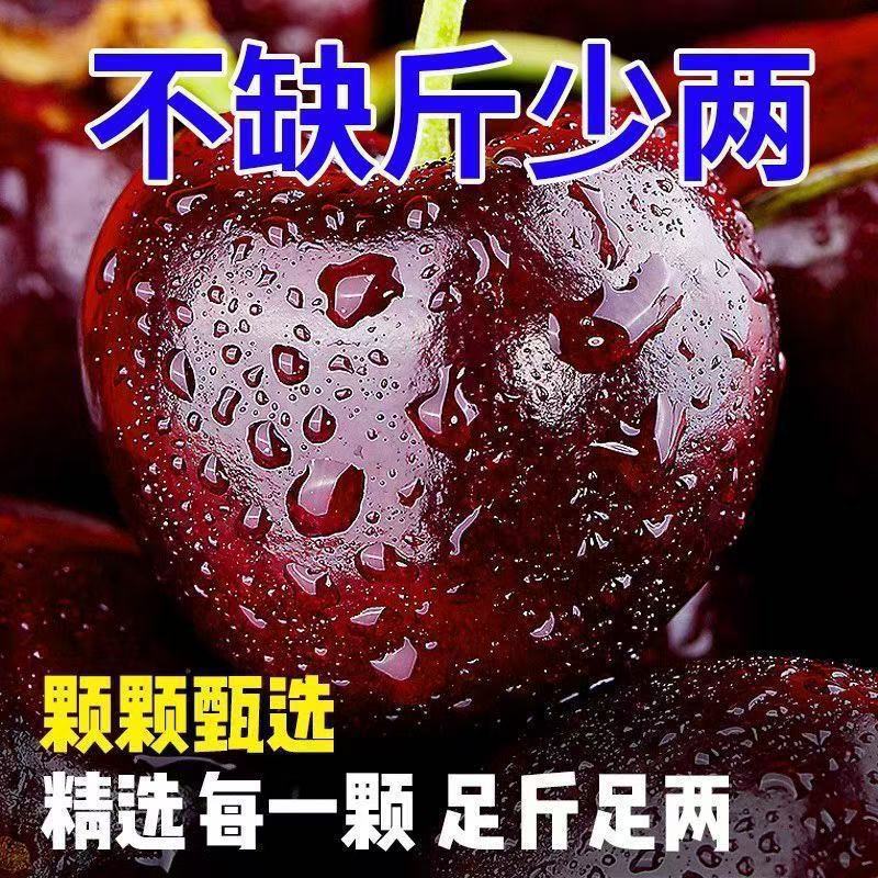 Shandong Cherries, Large Cherry Crisp and Sweet, Domestic Cherries, Fresh Cherries for Pregnant Women, Seasonal Free Shipping, Whole Box
