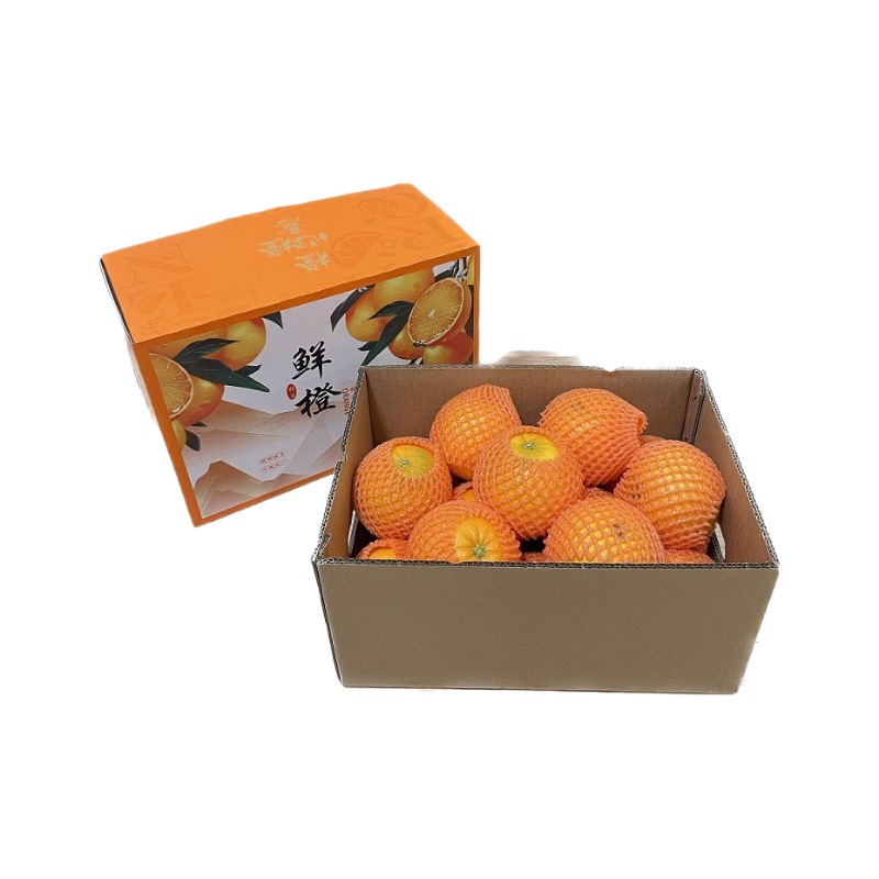 Orange Gift Box Wholesale Fresh Seasonal Navel Oranges with Lid and Colorful Box for Souvenirs and Gifts