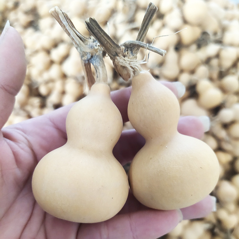 Hand-twisted American small gourd fine selection ornaments natural growth real gourd