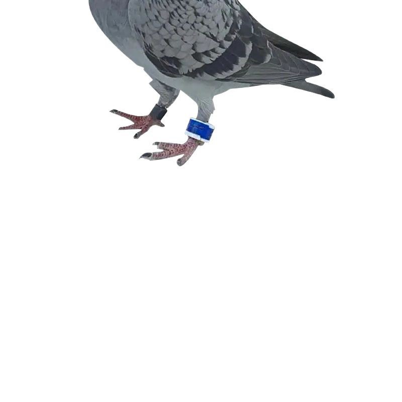 Tamper-Proof Foot Ring Seal, Tamper-Proof Heat-Resistant Hair Dryer Self-Adhesive Long Strip Self-Adhesive Sticker Qr Code Seal Sticker Blue