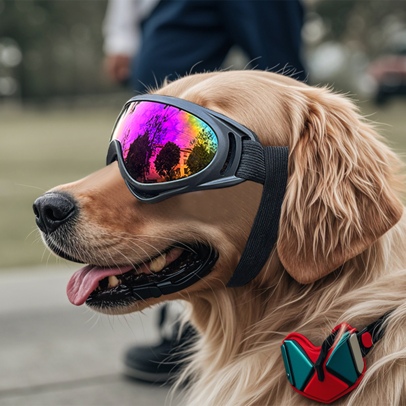 in stock Pet Glasses Medium and Large Dog Goggles Pet Headwear Pet Outdoor Windproof Glasses Dog Sunglasses