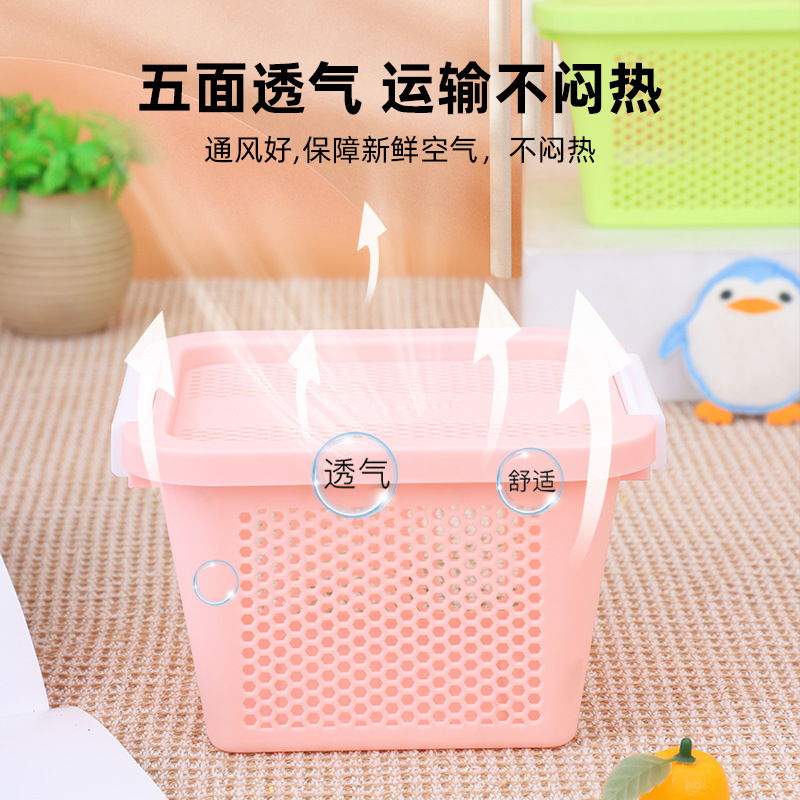 Pet her Hamster Transport Box Teng Box Summer Golden Bear Square Avoid Plastic Storage Travel Breathable Basket Outer Cage