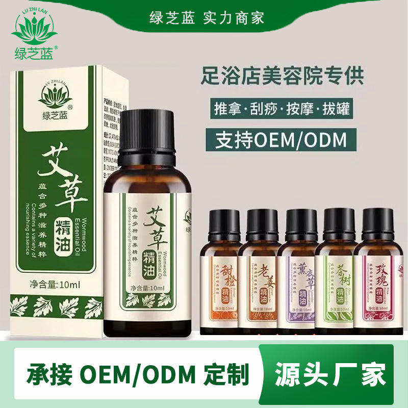 Эфирное масло полыни 10 мл, увлажняющее масло для массажа спины, плеч и шеи, оптовая продажа