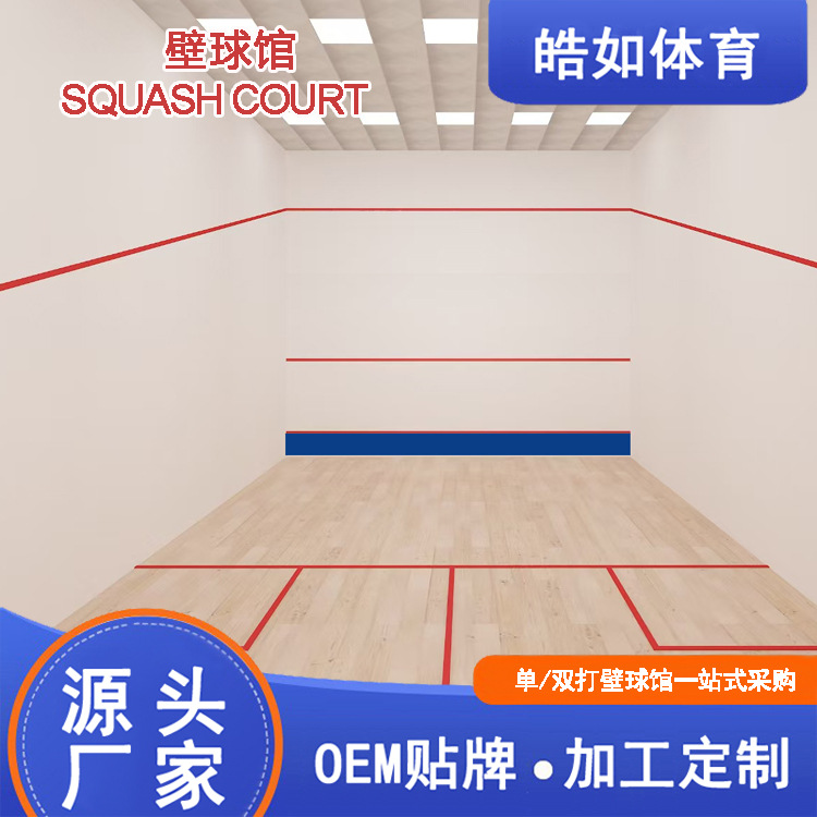 Смоляной материал для стеновых панелей, стеклянные петли для кортов по сквошу, дверные замки, задняя стенка для задней стены