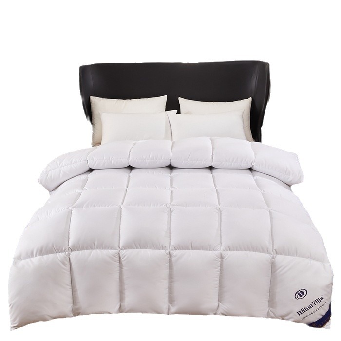 Hilton Hotel Feather Quilt Core Thickened Warm Winter Quilt Spring and Autumn Quilt Gift Feather Quilt