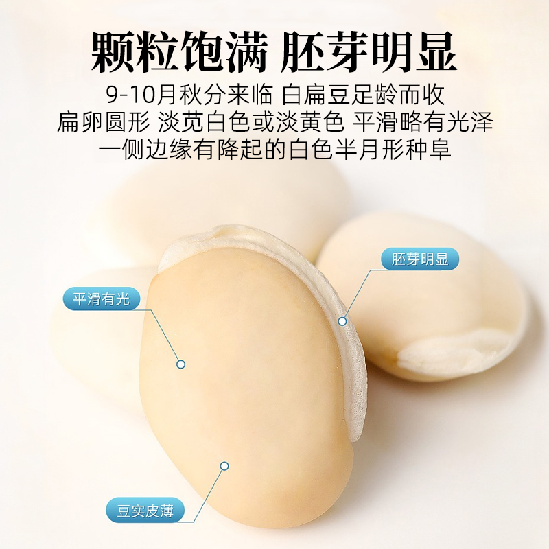 White Lentils 2.5kg Farm-Grown Yunnan Fresh Dried Goods Fried Powder White Lentils Large Capsules for Medicinal Use