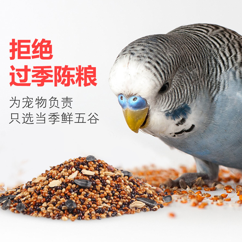 Pet Shangtian Parrot Bird Food Feed Tiger Skin Black Phoenix Peony Little Sun Mixed Bird Food Grain Shelled Yellow Millet