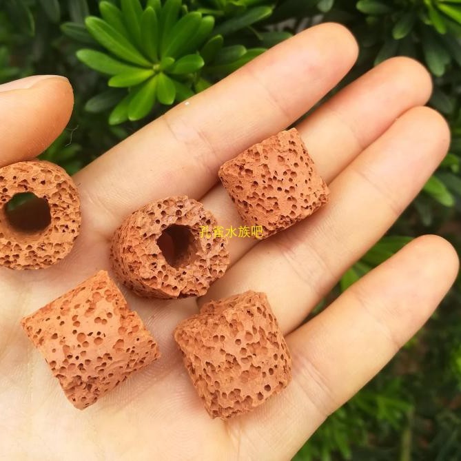 Water Grass Fixed Ring Gravity Ring Biological Breathing Ring Water Grass Fixed Ring Lazy Man Landscape Planting Ring Simple Decorative Use