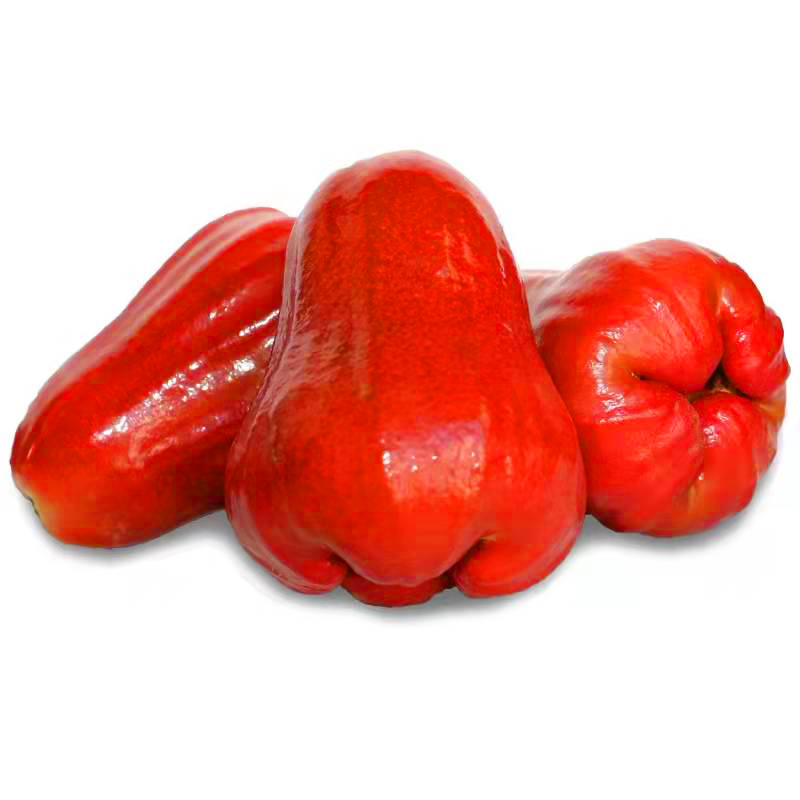 [Sf Express Optional] Hainan Black Diamond Lotus Mist Fruit Freshly Picked Small Fruits with Box 1.5-2.5kg Free Shipping