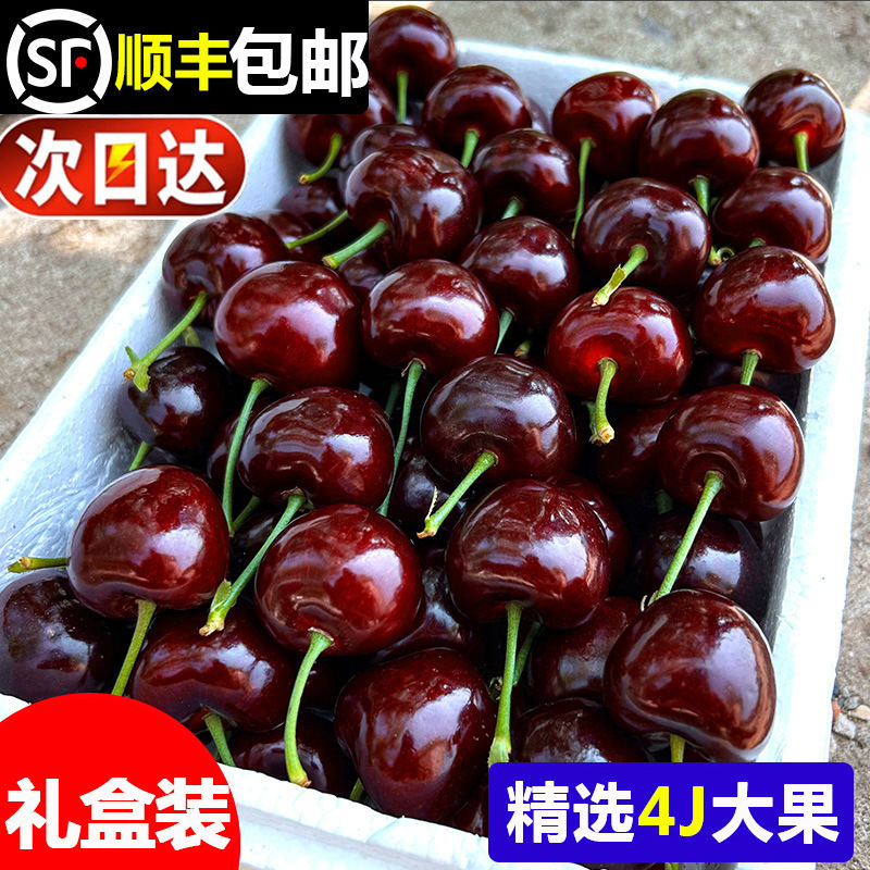 Чилийские вишни импортированные большие свежие фрукты сезонная целая коробка Sf бесплатная доставка для беременных