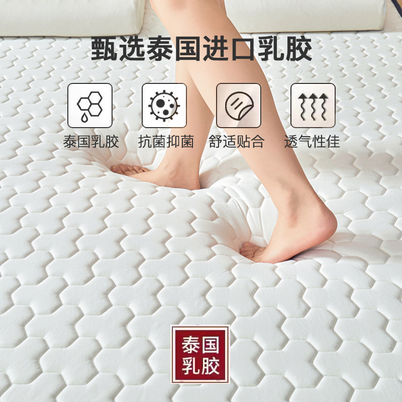 Thickened Latex Mattress Student Dormitory Breathable Hard Cotton Pad Single and Double Home Bedroom Foldable Mattress Pad