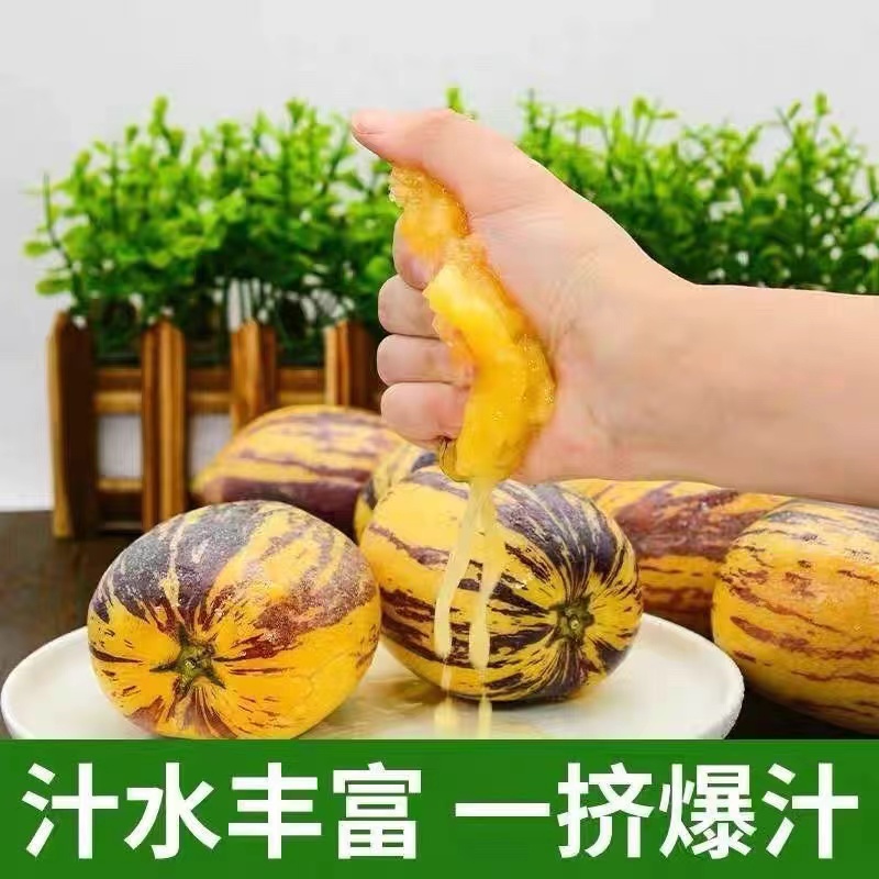 Sweet and Juicy Gansu Minqin Ginseng Fruit with Yellow Flesh and Yellow Heart, Freshly Picked Seasonal Low-Sugar Fruit, a Whole Box