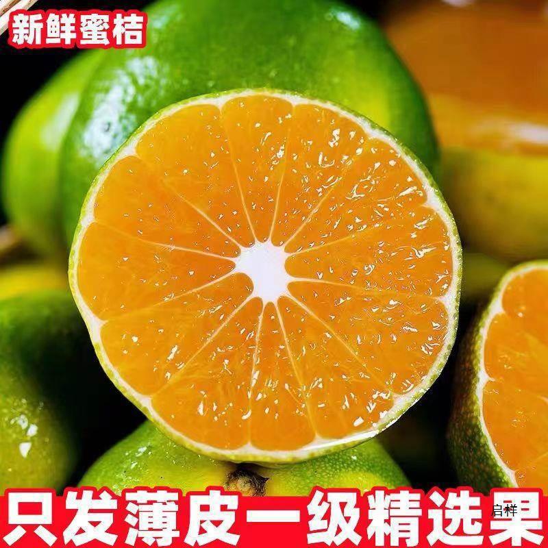 Yunnan Seedless Tangerines 5kg Fresh Fruits for Pregnant Women Seasonal Oranges Citrus Oranges Tangerines Whole Box Green Green Skin