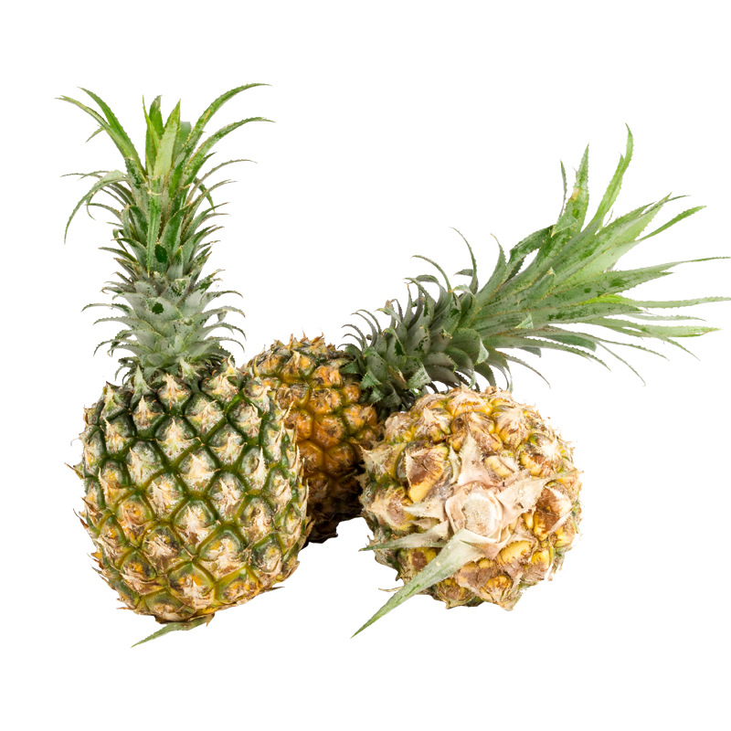 Hainan Golden Diamond Pineapple Fresh 5kg Authentic Pineapple Whole Box Fresh Fruit Style Pear Seasonal Perfume Pineapple Wholesale