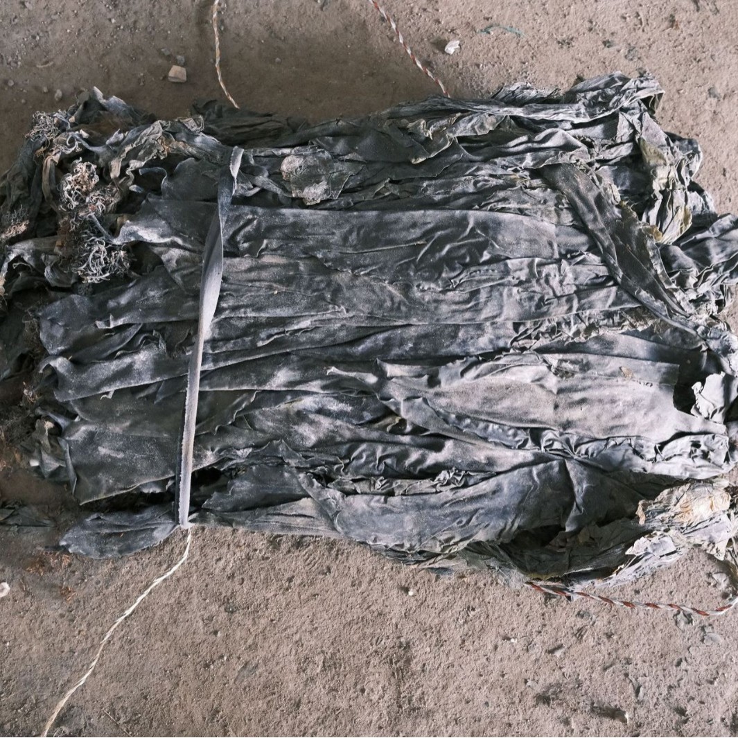 Factory Wholesale Street Stall Goods Sun-Dried Thick Commercial Fragrant Glutinous Soup Fresh Meat Thick Shandong Dry Goods Sun-Dried Dried Kelp