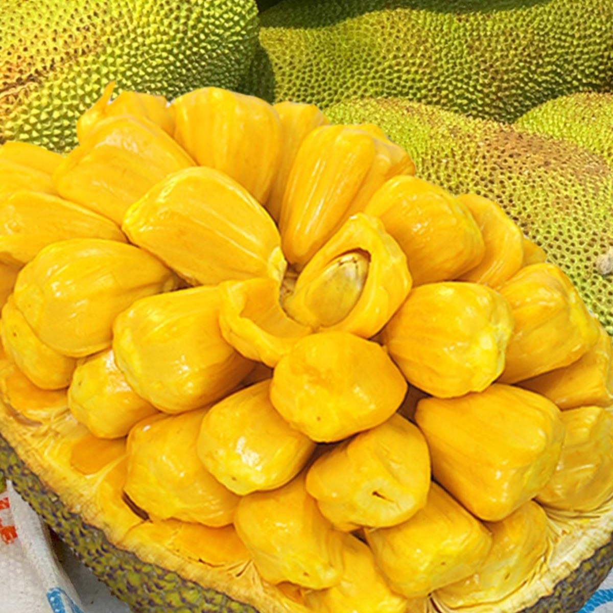 Hainan Sanya Jackfruit Fresh Fruit Jackfruit Seasonal Whole 10-20kg Boxes Free Shipping Red Meat