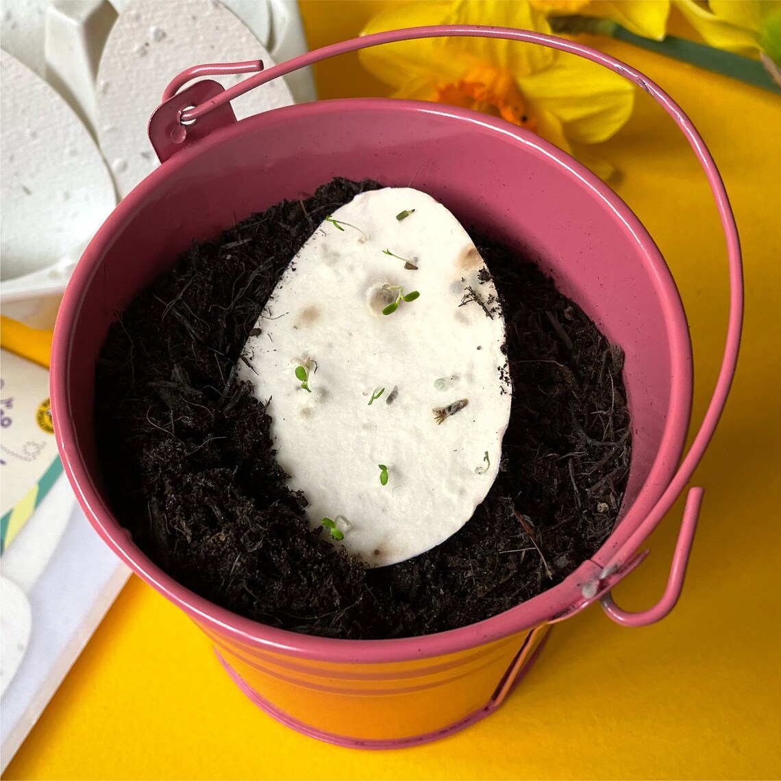 Seed Card Tickets Sprouting Tickets Invitation Cards Wedding Tickets Cards Special Ecological Special Paper