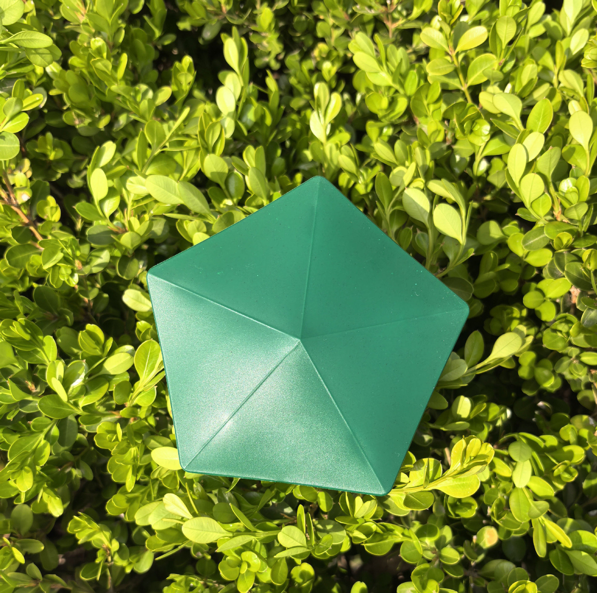 Snail Trap Snail Controller Snail Cage Insect Trap Garden Reptile Trap in stock Straight Hair