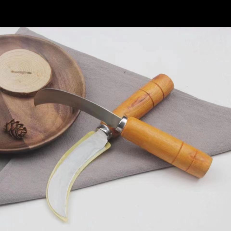 Stainless steel pineapple knife with wooden handle fruit knife peeler kitchen knife