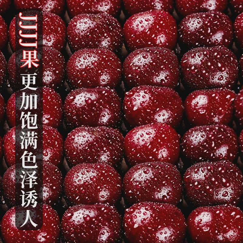 Chilean Imported Fresh Cherries with Free Shipping 2.5kg for Pregnant Women, Seasonal Whole Box Extra Large Cherries 4Jjjj Gift Box