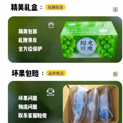 Sunshine Rose Grape Qingwang Fresh Seasonal Fruit