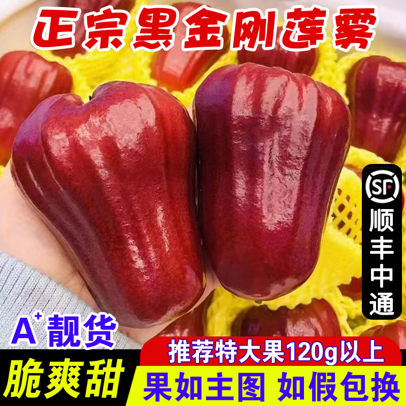 Подарочный Черный алмаз Лотосовый туман фрукты свежесобранные тропические первоклассные фрукты хрустящие сладкие экстра крупные фрукты 0.5кг/кг