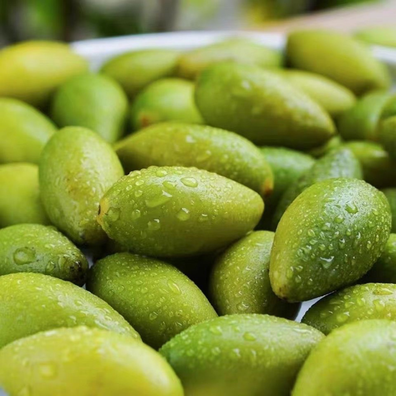 Sweet Olive Exhibition Street Stall Chaoshan Specialty Sweet Olive Chaoshan Sweet Green Olive Authentic Chaoshan Sweet Olive