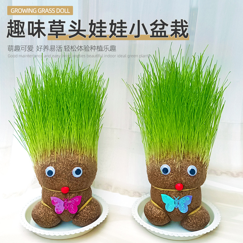 Grass Head Doll Wholesale Long Grass Doll Flowering Doll Kidsren's Small Potted Green Plants Hydroponic Plants Two Yuan Store Gifts