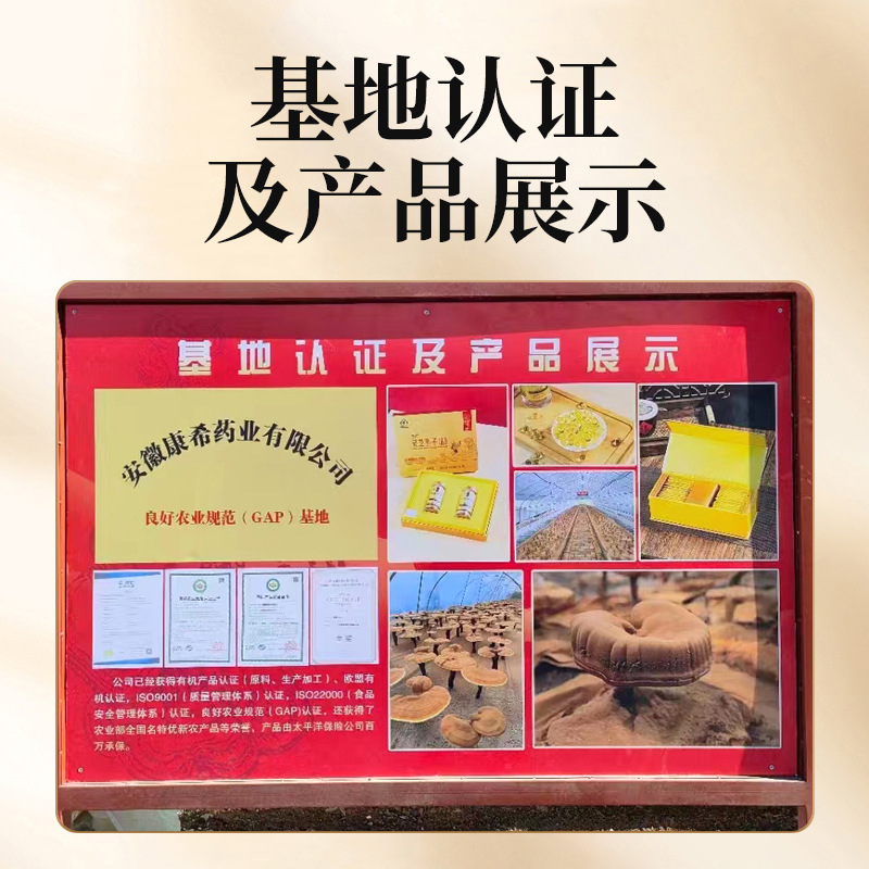 Dabie Mountain Ganoderma lucidum slices bags 100g Chinese herbal medicine wine Ganoderma lucidum tea Ganoderma lucidum slices wholesale generation