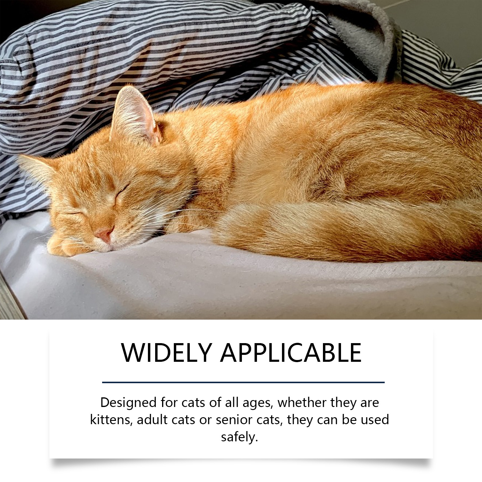 Yegbong Cat Emotional Care Set Pet Cat Comfort, Calmness, Estrus, Anxiety, Emotional Noise Reduction Care