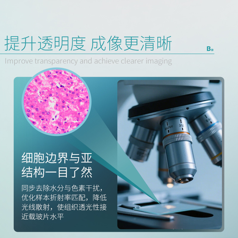 Beekman Biological Environmentally Friendly Dewaxing Transparent Liquid Does Not Contain Xylene, Colorless and Odorless Tissue Block Dehydration and Section Dewaxing