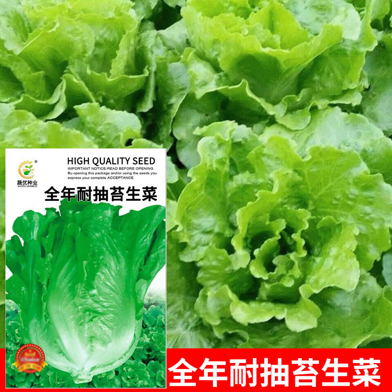 Оптовая продажа семян овощей, устойчивых к цветению, 7г, семена для горшков на балконе, прямая поставка от фабрики