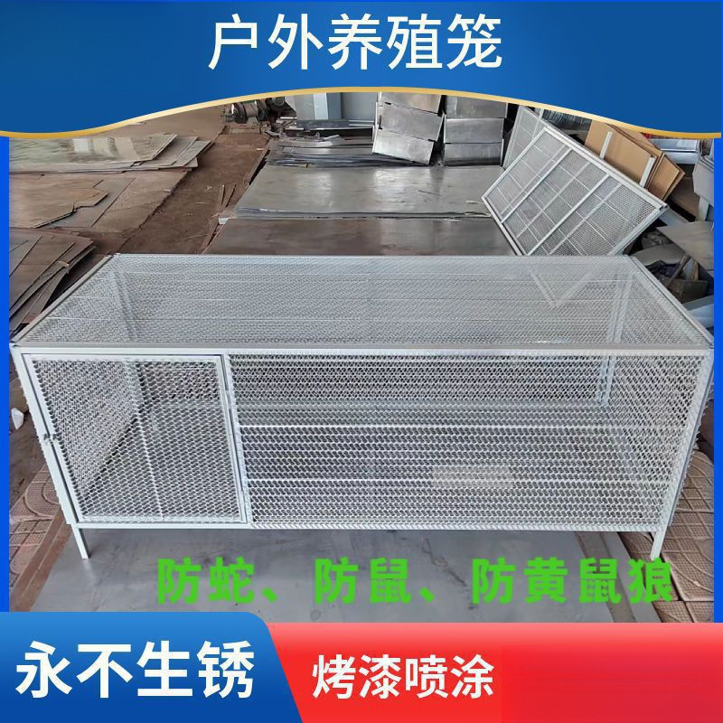 Клетка для кур, клетка для голубей, клетка для кроликов, клетка для птицы, защита от грызунов, защита от змей, защита от ласок, домашнее разведение, прямые продажи с завода перфорированная сетка