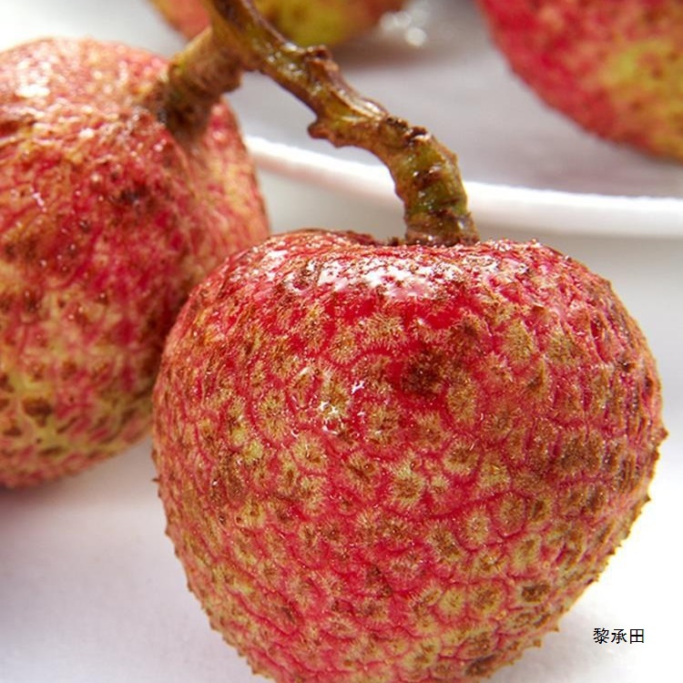 Fresh Lychee Frozen Hainan Feizixiao Lychee Gui Fresh Fruit for Pregnant Women Seasonal Fruit Sf Free Shipping 5kg