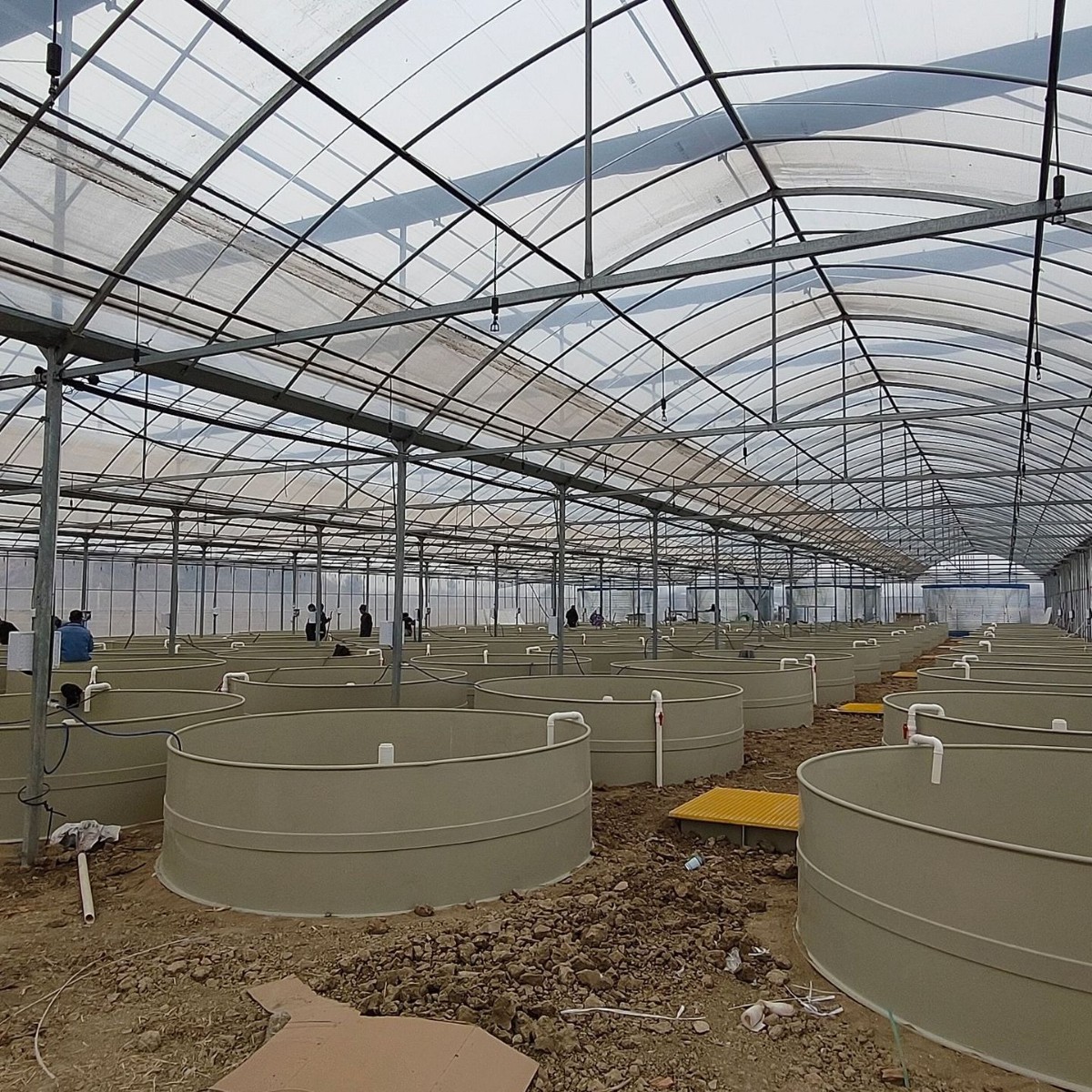 Pp Fish Pond Multifunctional Shrimp and Crab Breeding Pond Breeding Bucket Processing Custom Acid and Alkali Resistant Impact Resistant Round Pp Breeding Pond