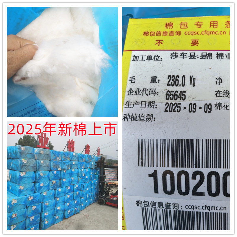 Cotton Cotton Cotton Cotton Lint Cotton Combed Cotton Long-Staple Cotton Lint Cotton Wholesale