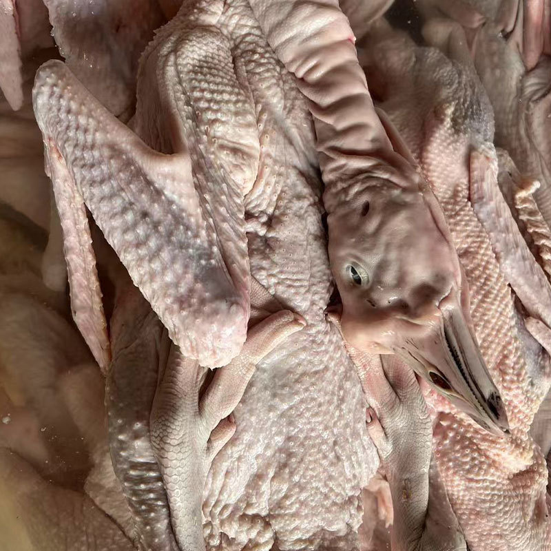 Authentic Fresh Lion Head Goose Food Foshan Factory Wholesale Freshly Cut Quick-Frozen Large Goose Head Fresh Goose Brine Braised Food