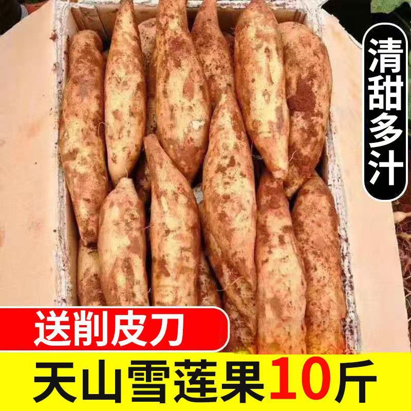 Юньнаньский корень снежного лотоса Тяньшань свежий сезонный фрукт для беременных красный сердечный крупный фрукт полная коробка бесплатная доставка