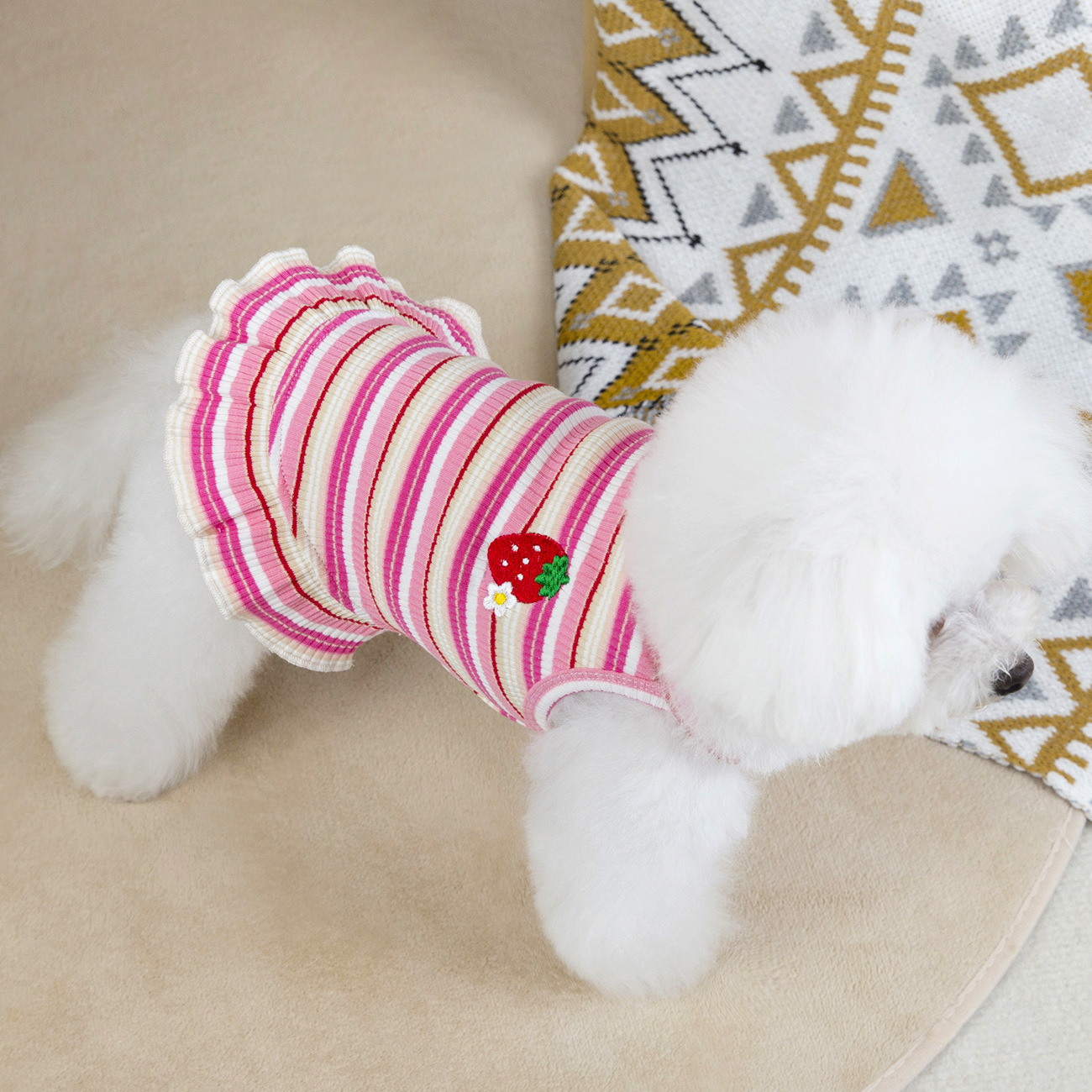Pet Clothes Spring and Summer New Arrival Striped Strawberry Skirt Teddy Bitter Panda Kitty Small Dog Summer Princess dress