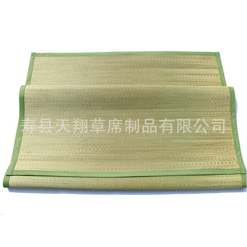 Thickened folding single-sided bed mat straw mat new student children's bed mat portable summer printed summer mat