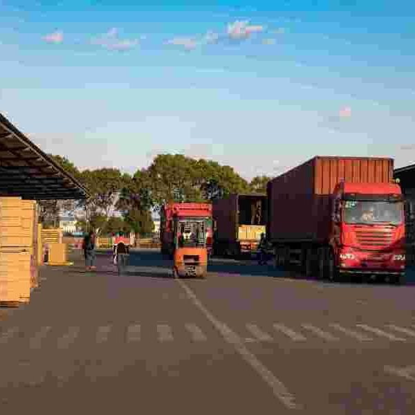 Third-Party Warehousing and Distribution Company Shanghai Temporary Warehouse Rental Professional E-Commerce Cloud Warehouse