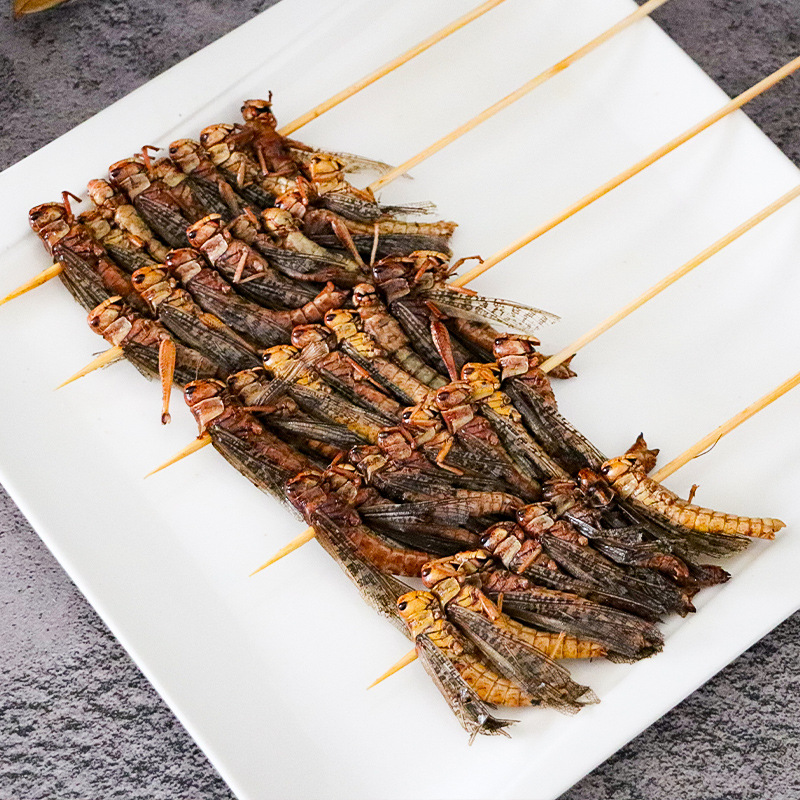Featured barbecue insect string golden cicada string cicada pupa string grasshopper string commercial fried meat string semi-finished ingredients 20 strings