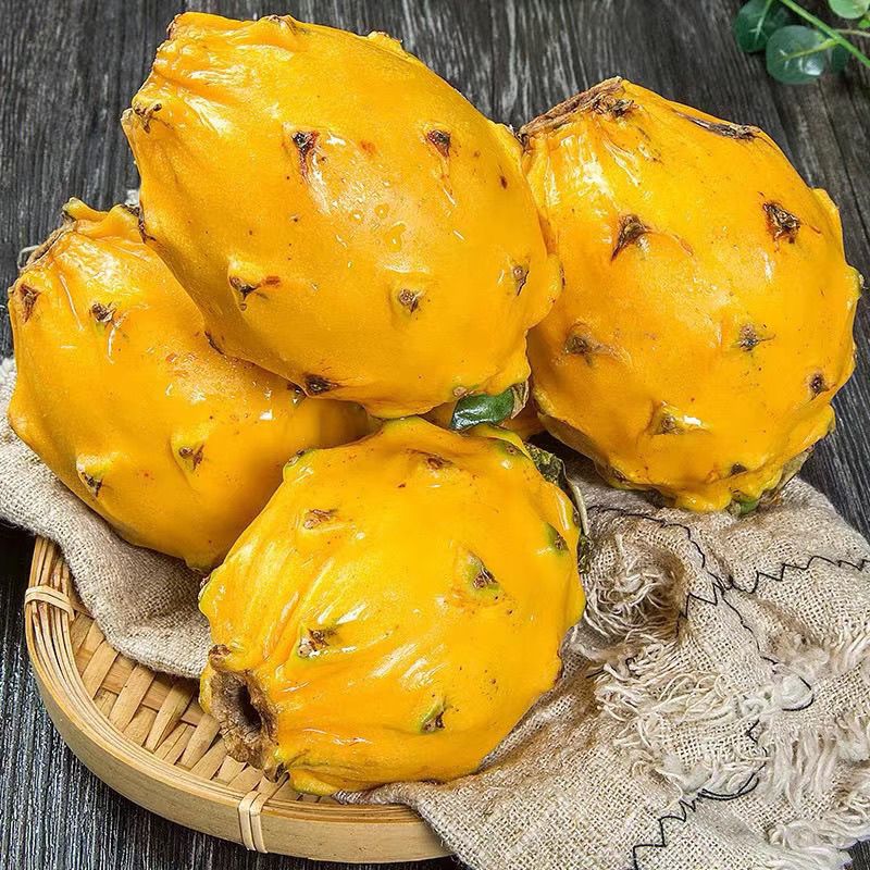 Fresh Golden Bird's Nest Fruit, Rare Fruit, Rare Unicorn Fruit, Seasonal Yellow-Skinned White-Heart Dragon Fruit, Whole Box Free Shipping