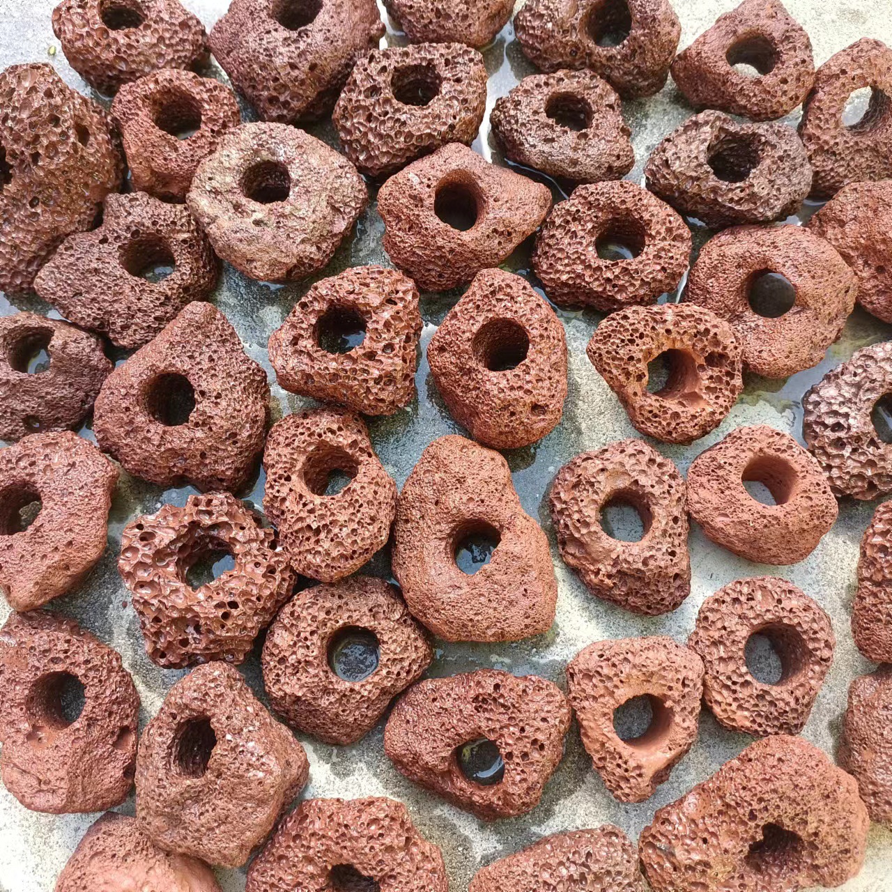 Кольцо для фиксации водных растений, декоративное кольцо для ландшафта из вулканического камня