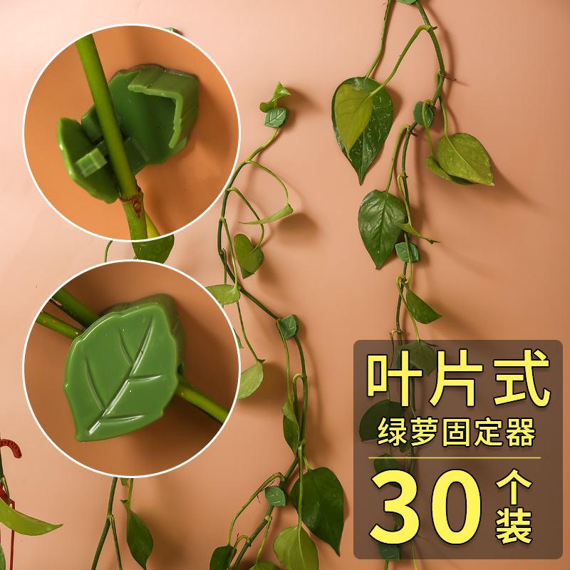 Green radish climbing vine plant holder climbing wall rattan man holder rattan man clip plant clip green radish climbing Holder
