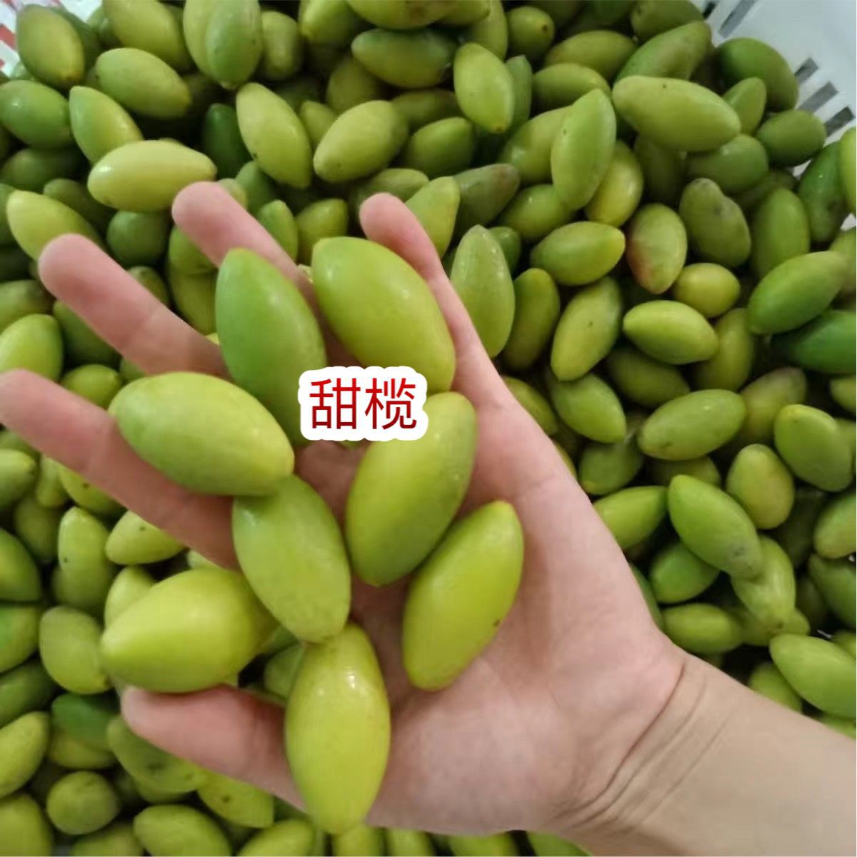 Сладкий оливковый выставочный стенд специальность Чаошань