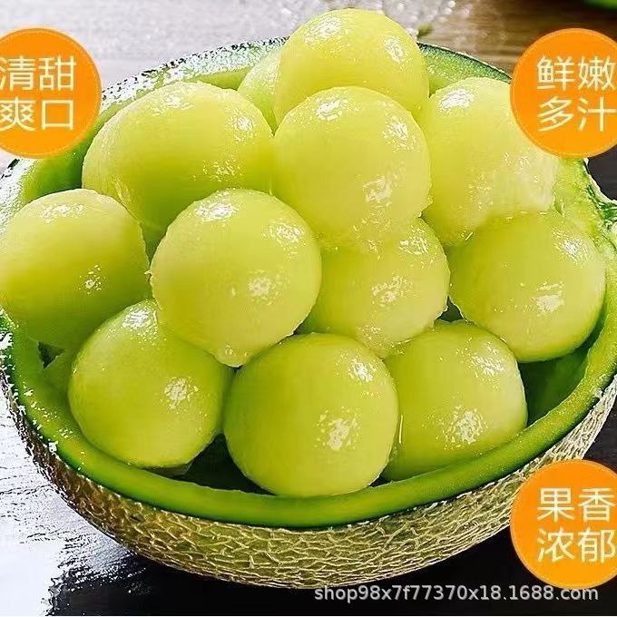 Net Melon, Juicy, Seasonal, Sweet Melon Ice Cream, Fresh Cantaloupe, Exclusive to the Farm, Free Shipping