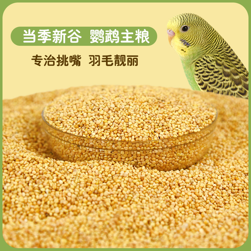 Корм для птиц с оболочкой, новое желтое просо, корм для попугаев Xuanfeng с оболочкой